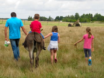 Donkey rides
