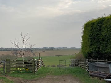 Driveway to the site