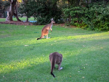 Friendly locals