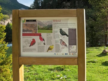 Excellent location for birdwatching