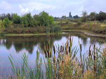 Nature reserve and lake at the bottom of the vineyard.