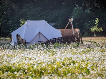 Knepp wildland safaris and camping