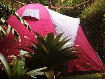 Tent pitch