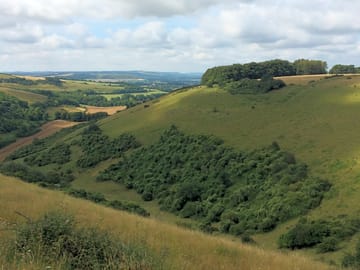 Local walks