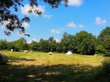 Spacious field
