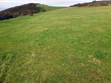 Grass pitches