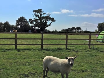Keeping the grass in good condition