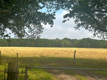 The camping field