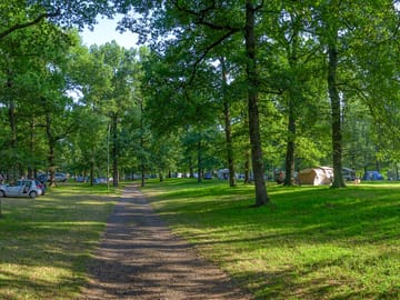 Grass pitches in the woods