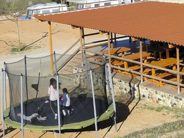 Children on the trampoline