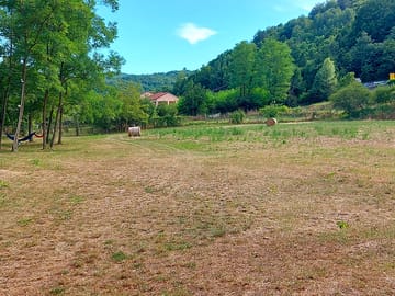 Pitch area