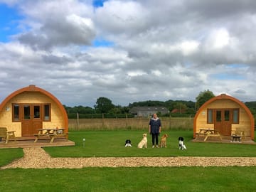 Oso and muffin, with owner lucy and dogs digby, jinx, rupert and kit