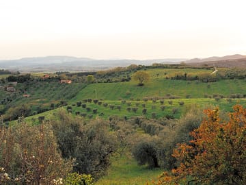 View of the hills from the site