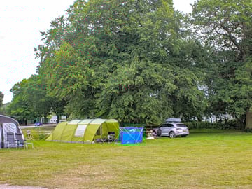 Dog friendly electric grass pitch
