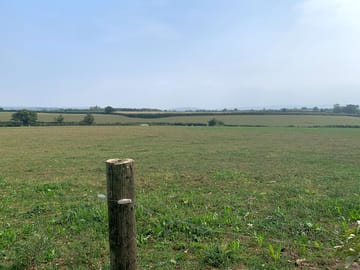 The pitch field