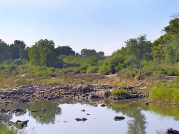 The limpopo river runs next to the site