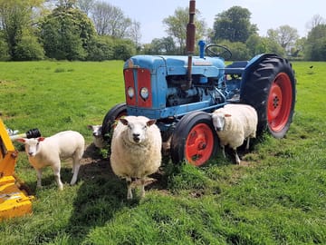 The vintage tractor