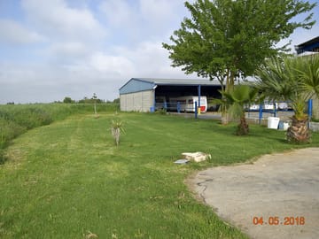 Around the site