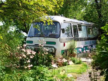 The bus is shaded under trees