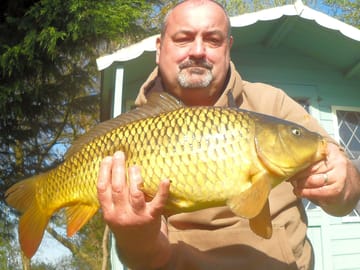 Mirror carp