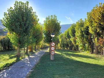 View of the site