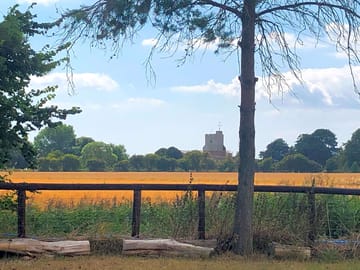 View to ivychurch