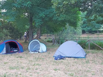 Pitches under the trees