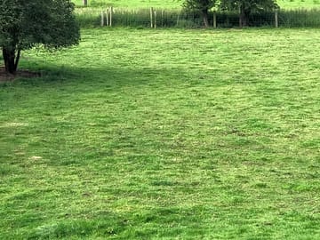 Grassy plots