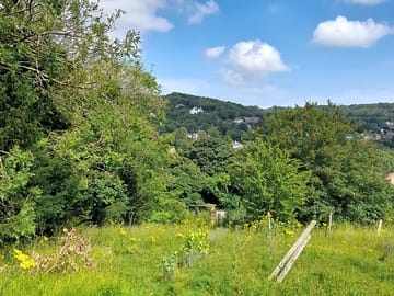 Views from site