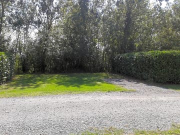 Grass pitches surrounded by trees