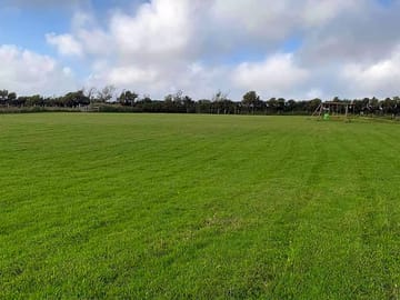 Grassy pitches