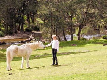 Horse-riding activities