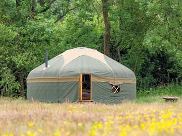 Lovely setting for the yurts