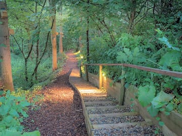Access to the cabins
