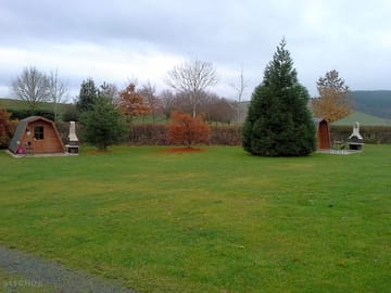 Pods in autumn