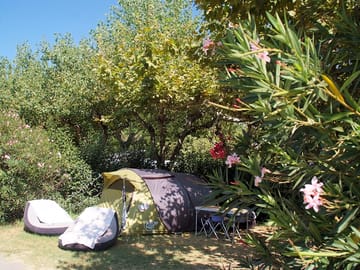 Tent pitch