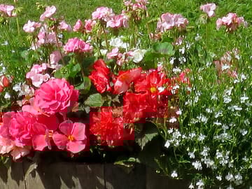 Lots of colour