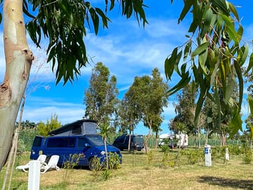 Site