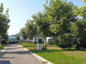 Grass pitches surrounded by trees