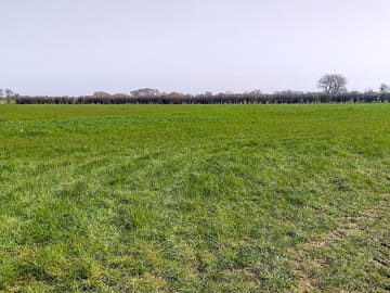 Bidston farm campsite