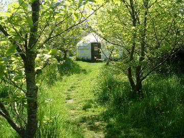 Chestnut yurt