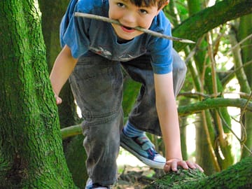 Tree climbing