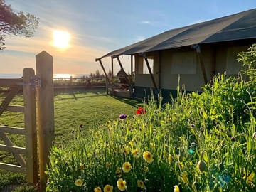 Safari tent