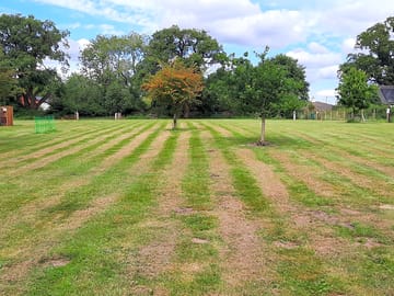 Grassy pitches