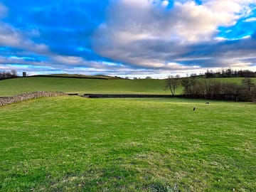 The grass pitches