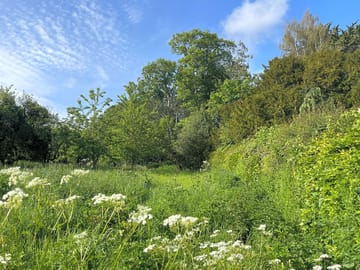 Eastern edge of the pitch