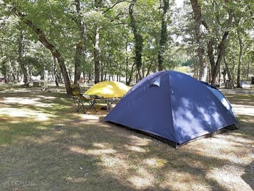 Pitches under the trees