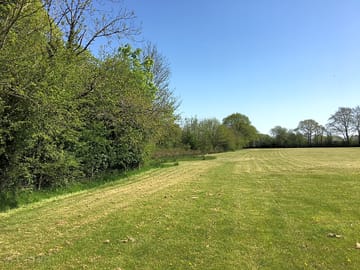 Edged by hedges