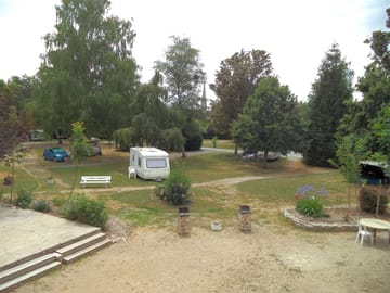 Pitches among the trees