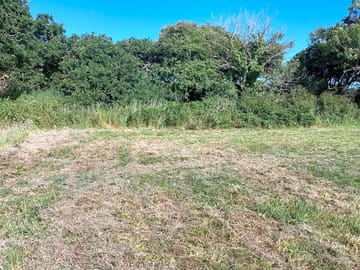 Trees shelter the plots